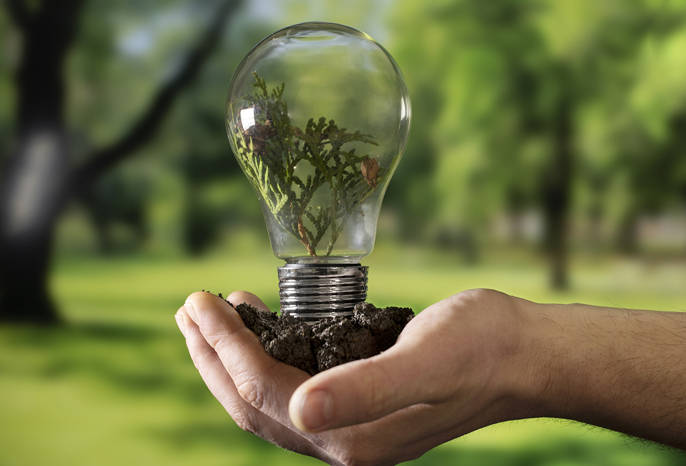 Enerji Danışmanım