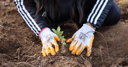 ULUDAĞ ELEKTRİK'TEN DOĞA DOSTU ÇÖZÜM