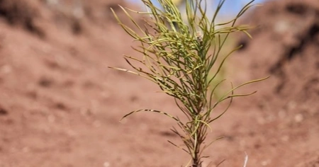 ULUDAĞ ELEKTRİK, SÜRDÜRÜLEBİLİR GELECEĞE KATKI SAĞLIYOR