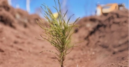 ULUDAĞ ELEKTRİK DİJİTALLEŞME ÇALIŞMALARIYLA DOĞAYA KATKI SAĞLIYOR